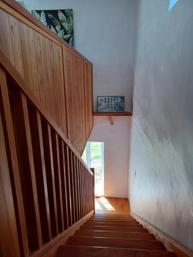 Upper Moutere Pirita Vineyard Cottage. מראה חיצוני תמונה